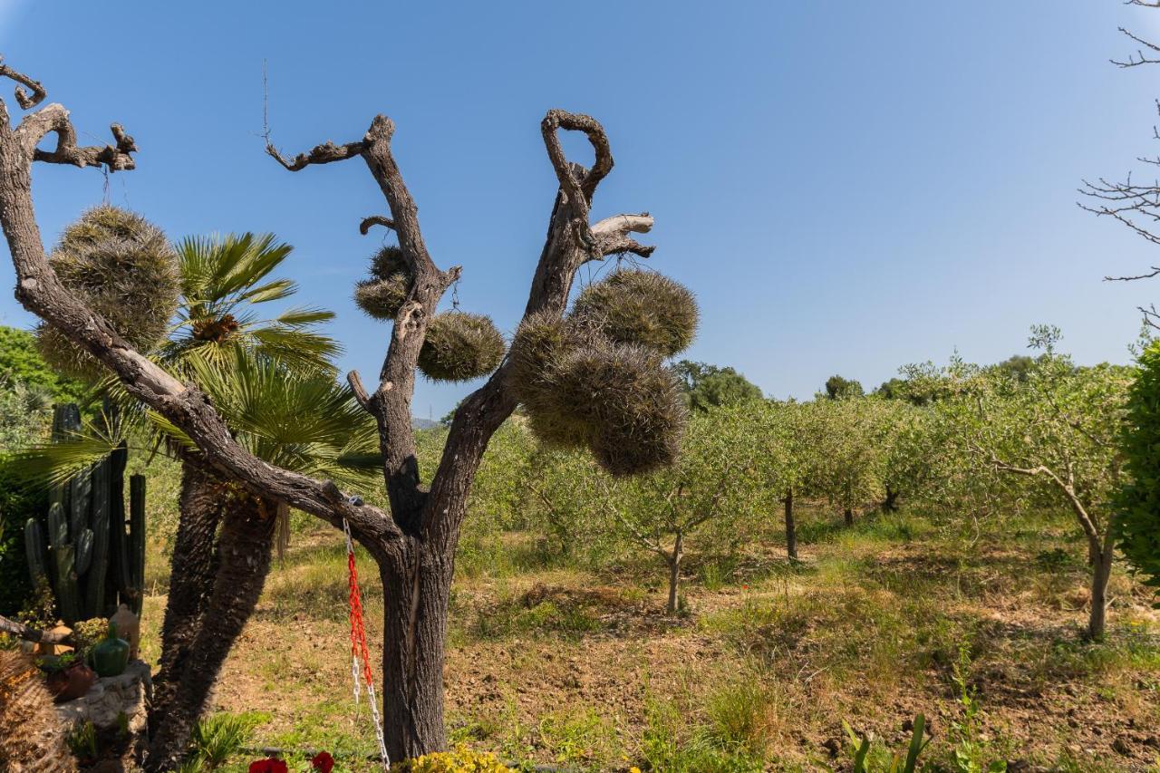 Finca Sa Sini Búger Εξωτερικό φωτογραφία